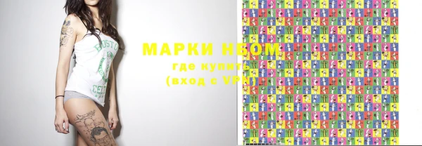 стаф Алексин