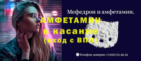стаф Алексин