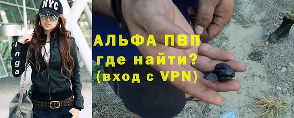 стаф Алексин