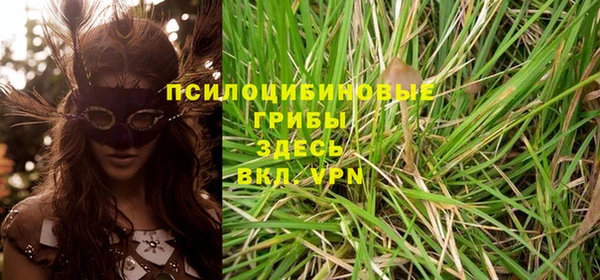 стафф Алексеевка
