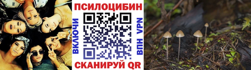 Псилоцибиновые грибы MAGIC MUSHROOMS  закладка  дарк нет клад  Жиздра 
